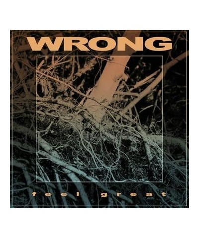 WRONG Feel Great Vinyl Record $5.55 Vinyl